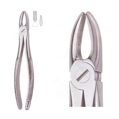 Extracting Forceps